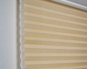 cellular honeycomb blinds 13 in a building